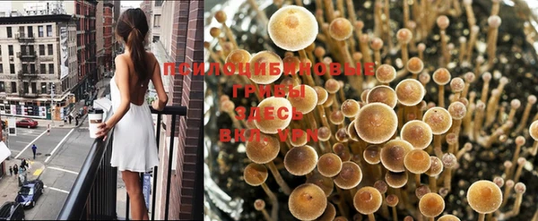 соль ск Осташков