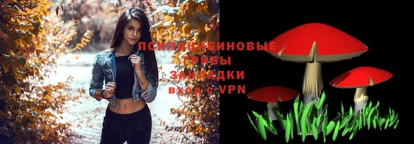 соль ск Осташков