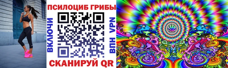 omg ССЫЛКА  Фёдоровский  Псилоцибиновые грибы Cubensis 